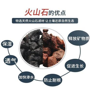 臨武水族店：臨武縣曬水一方水族館