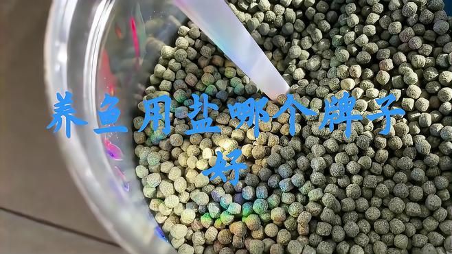 有哪些品牌的水族專用鹽推薦：水族專用鹽品牌排行榜