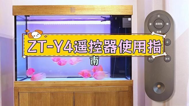 可麗愛魚缸燈光設置說明書：可麗愛水族箱燈光調節技巧 可麗愛魚缸燈光設置說明書：可麗愛水族箱燈光調節技巧 龍魚百科 第1張