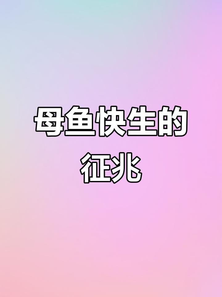 母魚肚子大后什么時候生：如何判斷孔雀魚是否懷上小魚胎斑顏色變化揭秘
