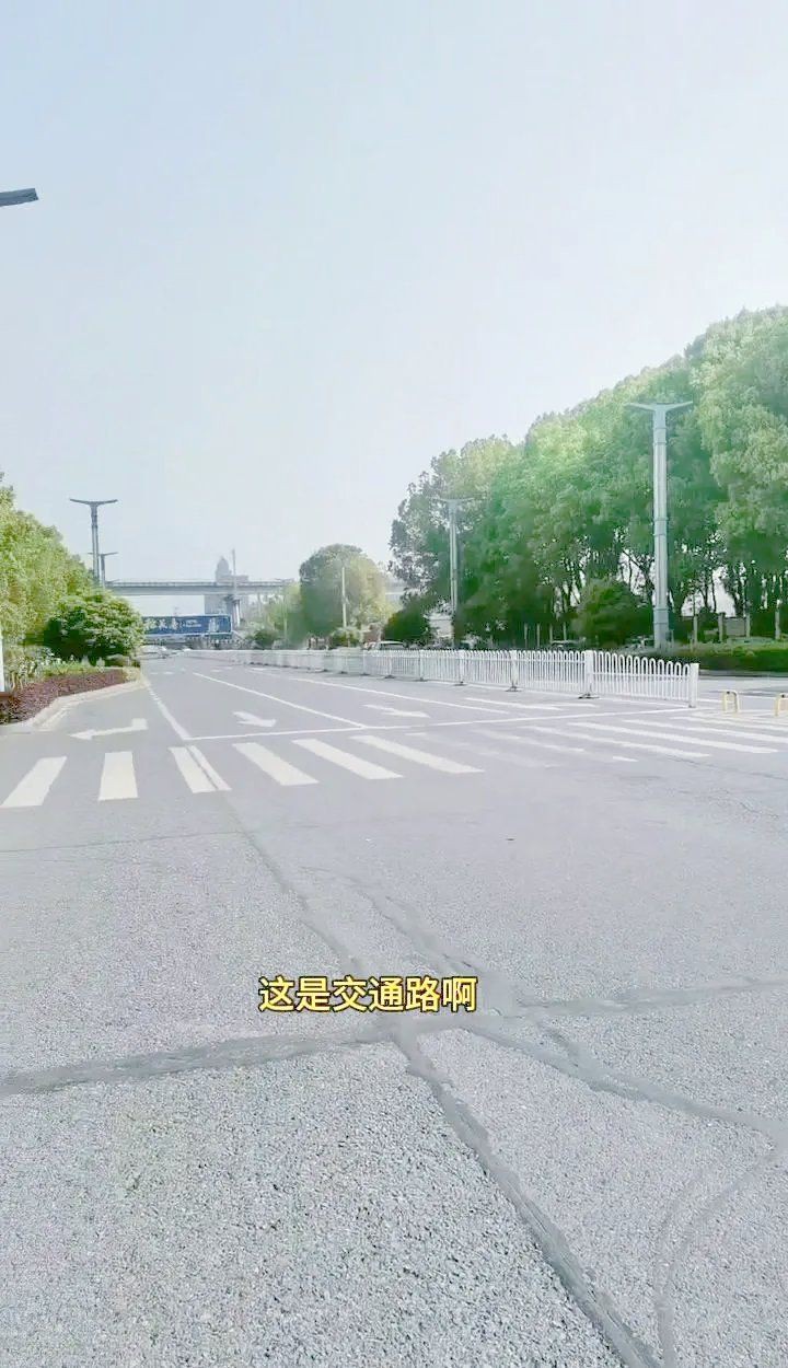 襄樊龍魚店：襄陽龍麗斑魚莊
