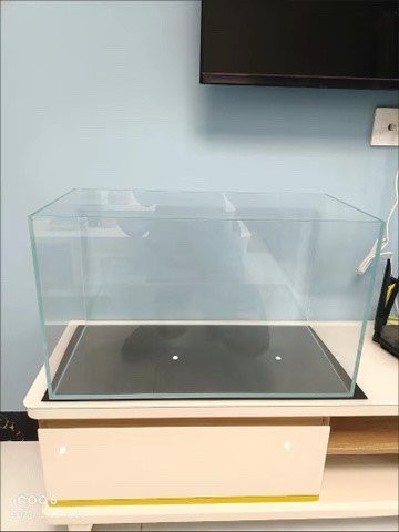 60魚缸最佳尺寸：60升魚缸尺寸全解析