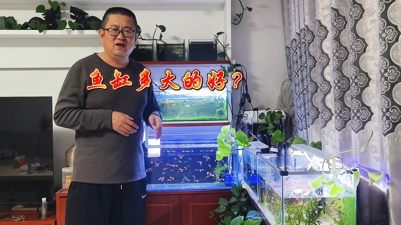 60魚缸最佳尺寸：60升魚缸尺寸全解析