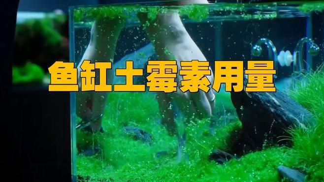 土霉素治療魚爛身爛尾的具體用法：土霉素治療魚類爛身爛尾病