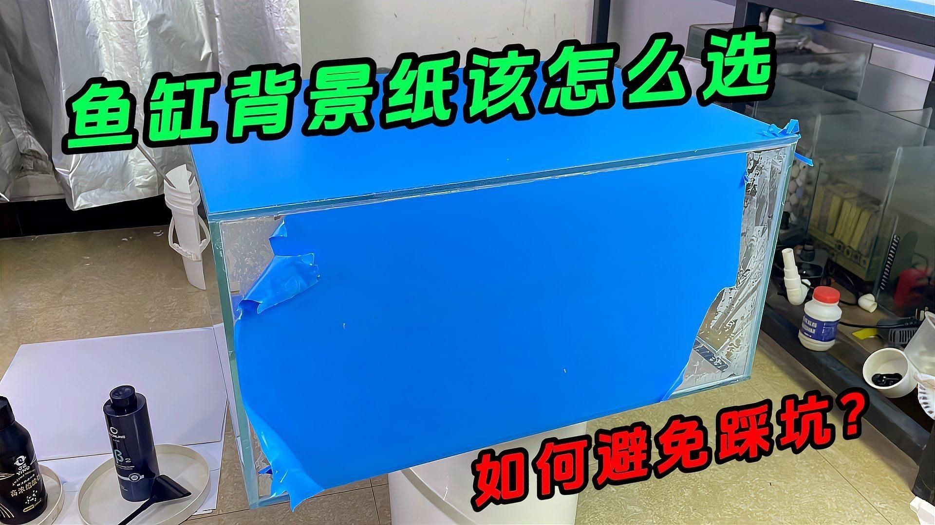 如何選擇適合我的龍魚缸壁紙？：魚缸背景怎么選，選什么樣的好