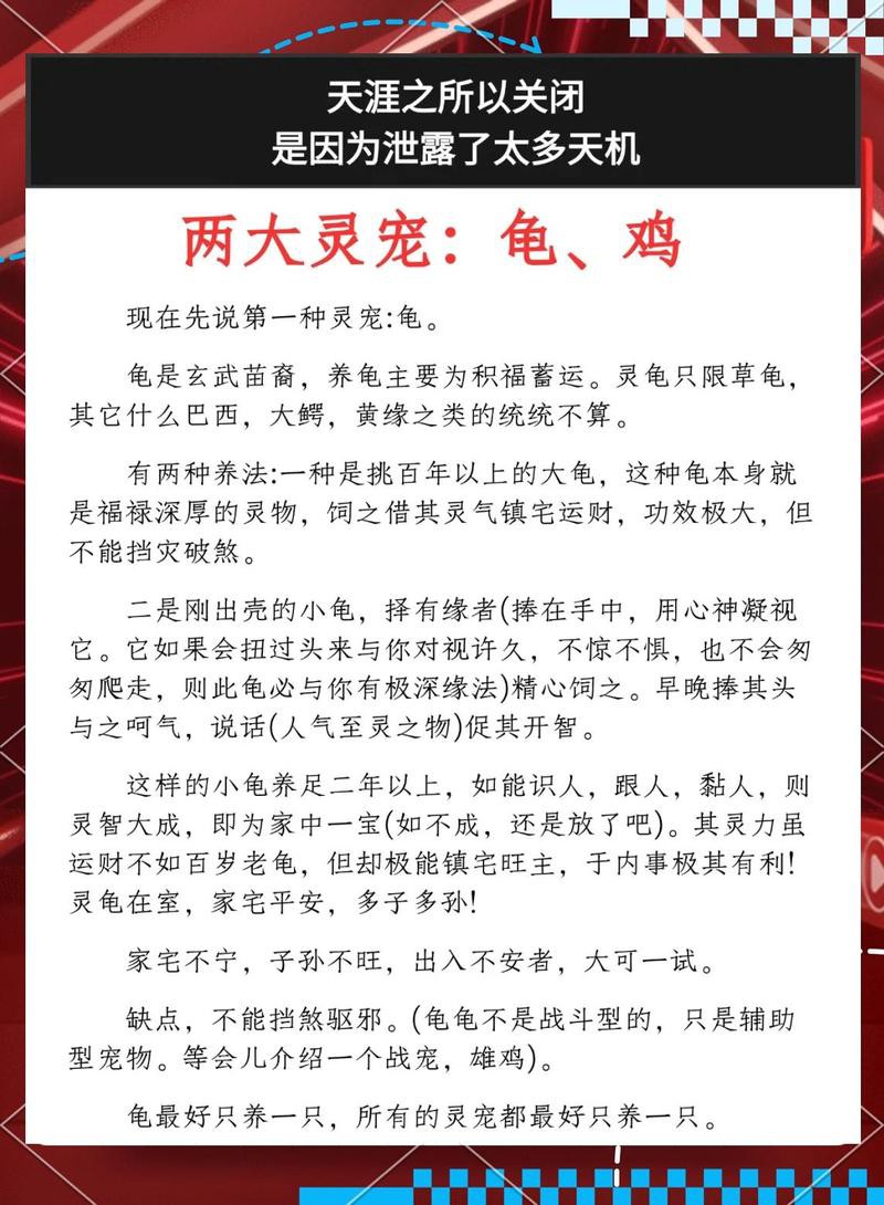 烏龜養(yǎng)幾年以上通靈：烏龜養(yǎng)多久會有“靈性”