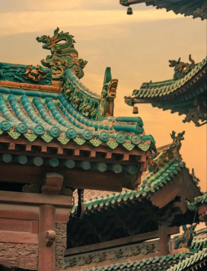 烏龜養(yǎng)幾年以上通靈：烏龜養(yǎng)多久會有“靈性”