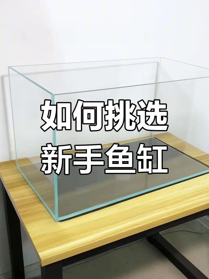 如何選擇合適的魚缸材質(zhì)？：關(guān)于魚缸材質(zhì)的冷知識你知道嗎各種魚缸的優(yōu)缺點分享 如何選擇合適的魚缸材質(zhì)？：關(guān)于魚缸材質(zhì)的冷知識你知道嗎各種魚缸的優(yōu)缺點分享 龍魚百科 第3張