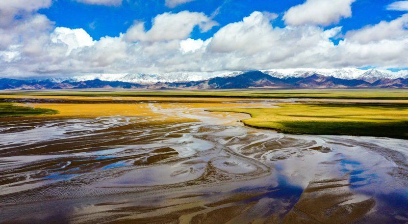 海西蒙古族藏族自治州龍魚店：海西州紅龍魚價格2688貴嗎 海西蒙古族藏族自治州龍魚店：海西州紅龍魚價格2688貴嗎 全國水族館企業名錄 第6張