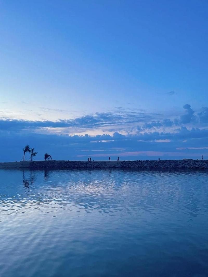 湛江水族店：湛江水族店結合了多個可信來源的信息整理而成
