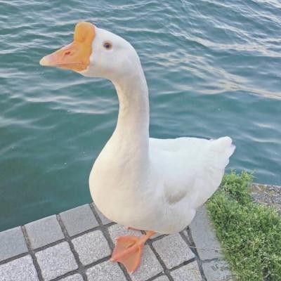 湛江水族店：湛江水族店結合了多個可信來源的信息整理而成