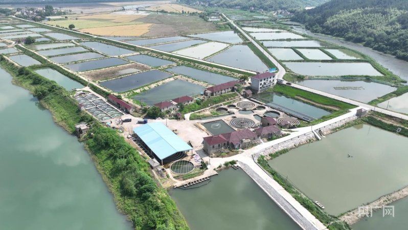 池州魚缸批發市場：關于池州魚缸批發市場的綜合分析