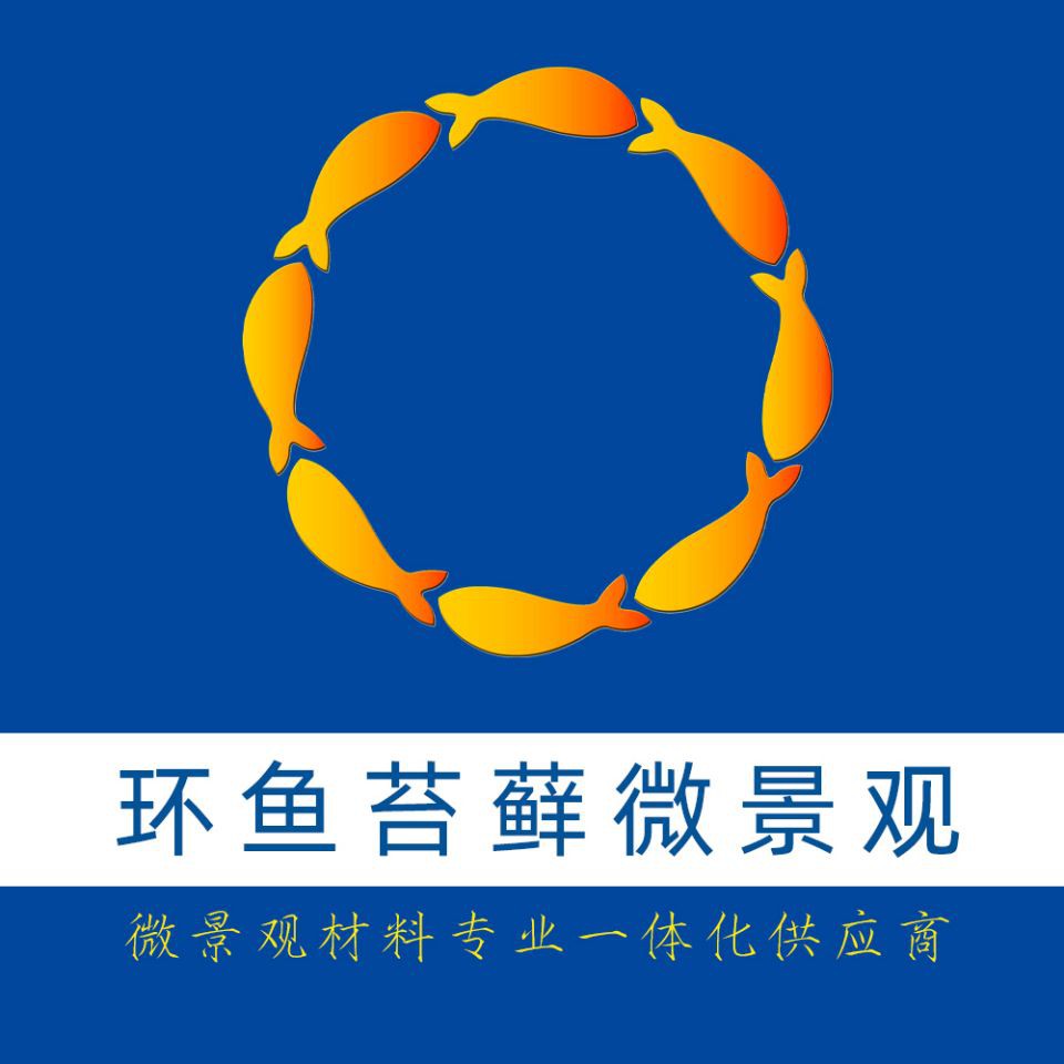 建議窮人養的10種烏龜：經濟實惠的寵物龜飼養小巧體型的愛好者8：九、鱷龜