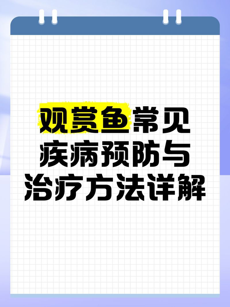 如何預防龍魚魚鰭根部充血？：觀賞魚常見疾病預防與治療方法詳解重啟人生計劃 如何預防龍魚魚鰭根部充血？：觀賞魚常見疾病預防與治療方法詳解重啟人生計劃 龍魚百科 第1張