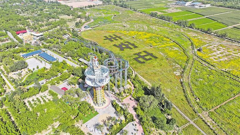 中寧龍魚店：“中寧龍魚店”命名專業龍魚貿易商可能相關的觀賞魚業態 中寧龍魚店：“中寧龍魚店”命名專業龍魚貿易商可能相關的觀賞魚業態 全國水族館企業名錄 第1張