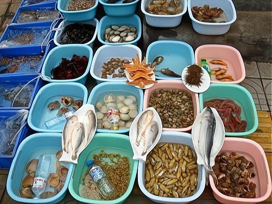 瀘州水族批發市場：瀘州海鮮批發市場 瀘州水族批發市場：瀘州海鮮批發市場 全國水族館企業名錄 第1張