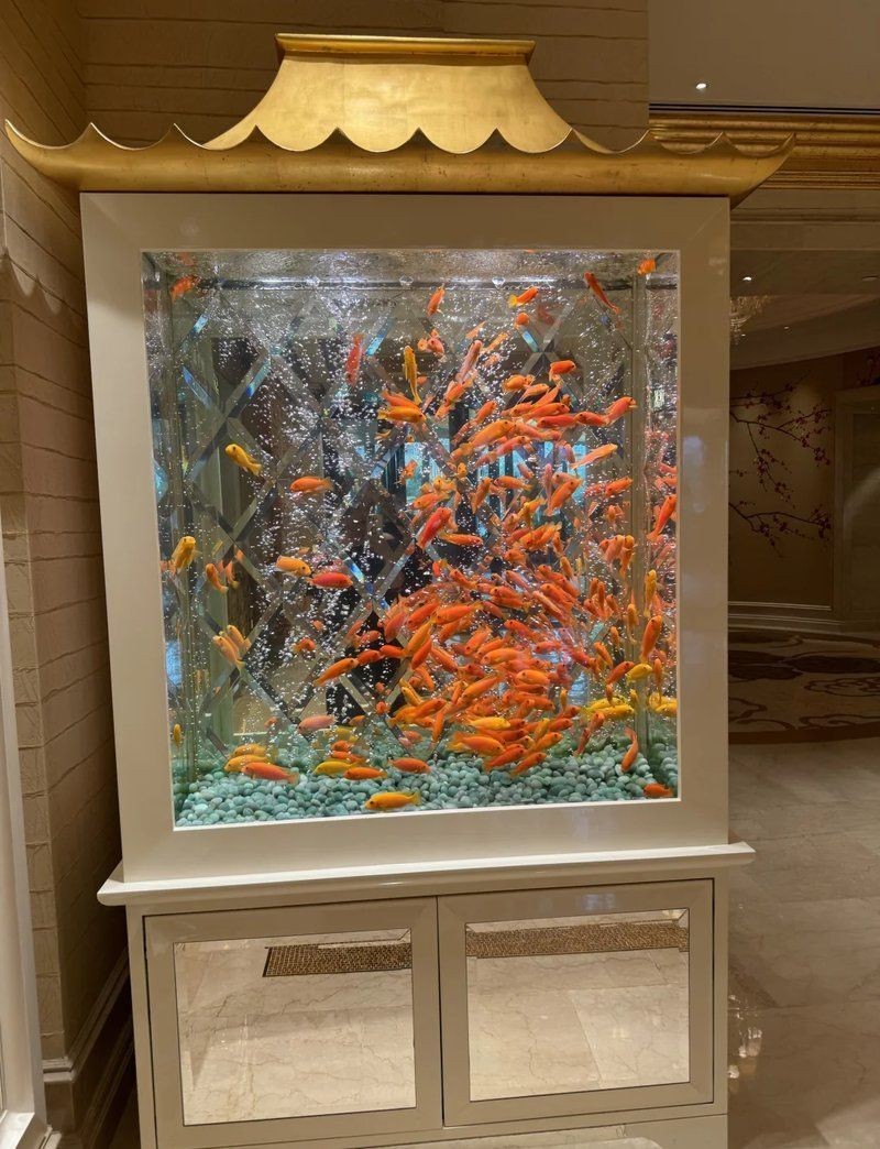 澳門魚缸批發市場:關于澳門魚缸批發市場的具體信息 全國水族館企業名錄 第18張 澳門魚缸批發市場:關于澳門魚缸批發市場的具體信息 澳門魚缸批發市場:關于澳門魚缸批發市場的具體信息 全國水族館企業名錄 第18張