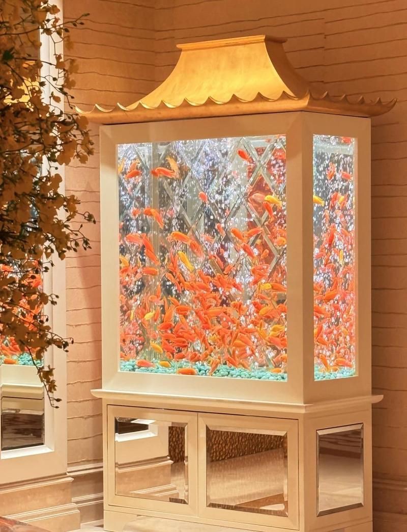 澳門魚缸批發市場:關于澳門魚缸批發市場的具體信息 全國水族館企業名錄 第10張 澳門魚缸批發市場:關于澳門魚缸批發市場的具體信息 澳門魚缸批發市場:關于澳門魚缸批發市場的具體信息 全國水族館企業名錄 第10張