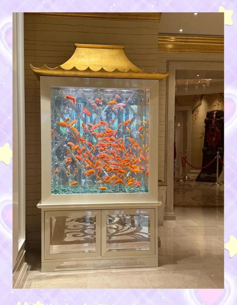 澳門魚缸批發市場:關于澳門魚缸批發市場的具體信息 全國水族館企業名錄 第4張 澳門魚缸批發市場:關于澳門魚缸批發市場的具體信息 澳門魚缸批發市場:關于澳門魚缸批發市場的具體信息 全國水族館企業名錄 第4張