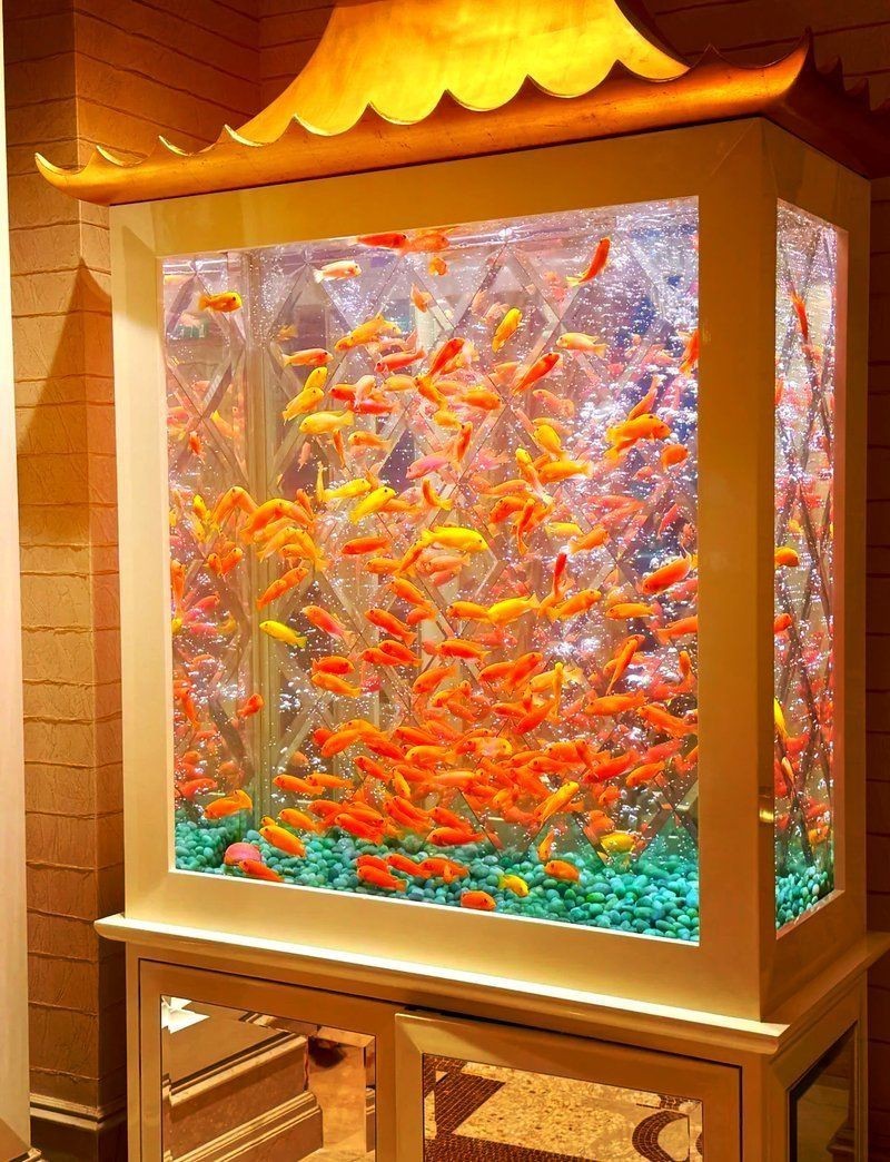 澳門魚缸批發市場:關于澳門魚缸批發市場的具體信息 全國水族館企業名錄 第8張 澳門魚缸批發市場:關于澳門魚缸批發市場的具體信息 澳門魚缸批發市場:關于澳門魚缸批發市場的具體信息 全國水族館企業名錄 第8張