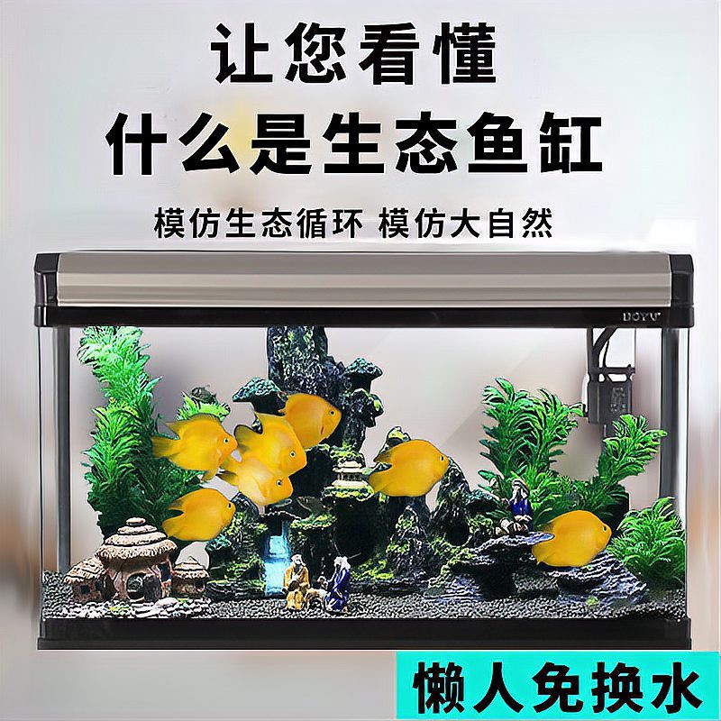 世界十大水族品牌：世界十大水族品牌\