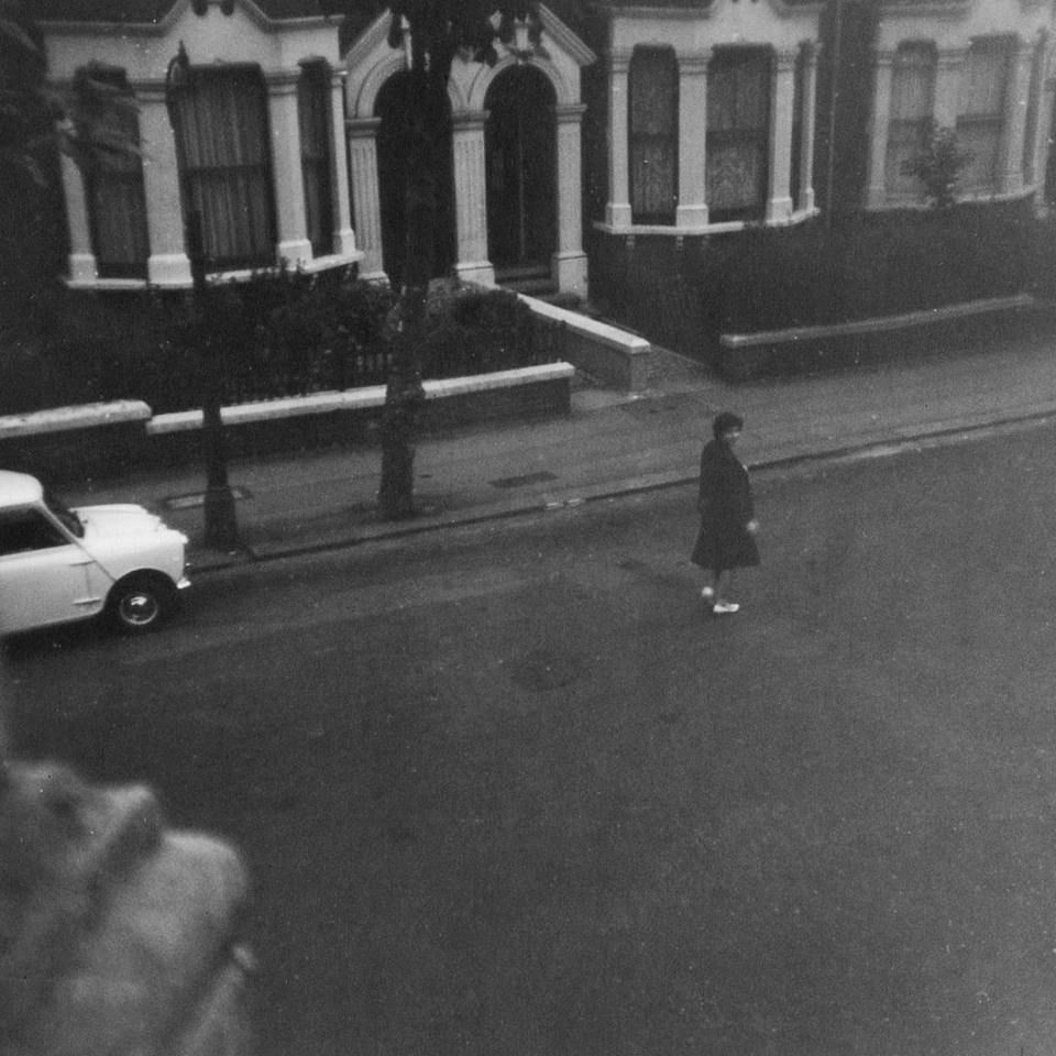 紅寶石魚混養最忌三種魚：紅寶石魚與燈科魚混養的區別