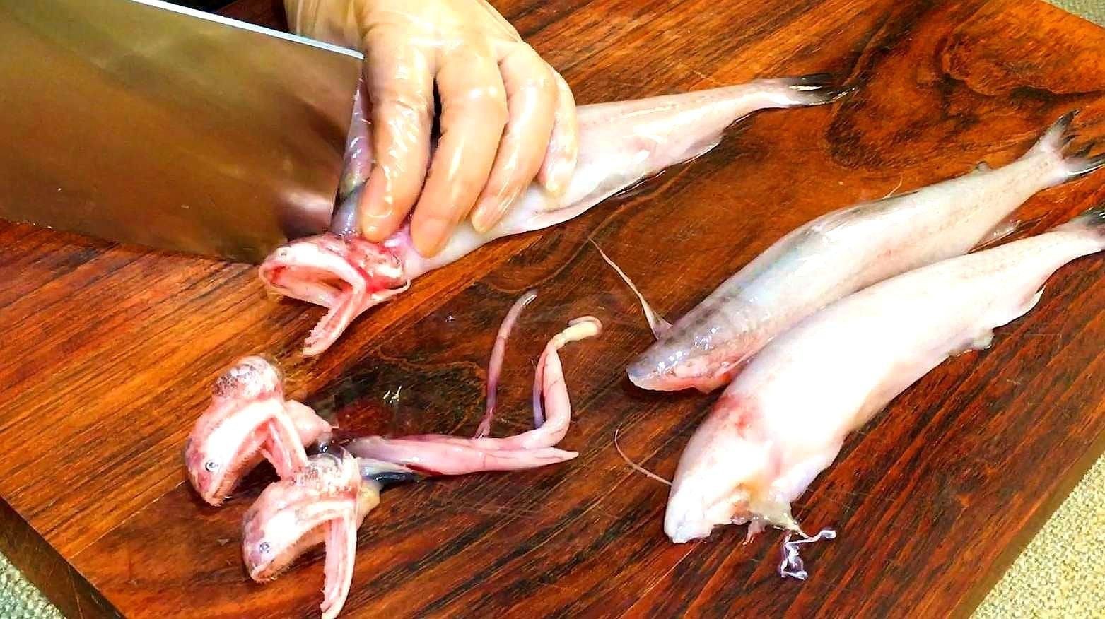水龍魚的做法：智能模式回答完成調用工具：今天吃什么以下是幾種常見的水龍魚