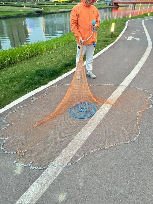撈魚網圖片大全：京東漁網撈魚網品牌排行榜阿里巴巴1688漁具撈魚網品牌排行榜 撈魚網圖片大全：京東漁網撈魚網品牌排行榜阿里巴巴1688漁具撈魚網品牌排行榜 龍魚百科 第20張