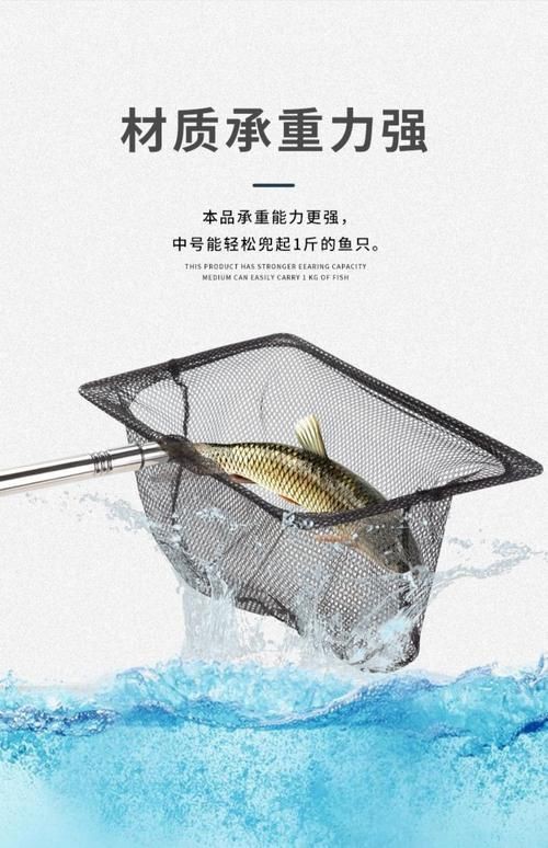 撈魚網圖片大全：京東漁網撈魚網品牌排行榜阿里巴巴1688漁具撈魚網品牌排行榜 撈魚網圖片大全：京東漁網撈魚網品牌排行榜阿里巴巴1688漁具撈魚網品牌排行榜 龍魚百科 第17張