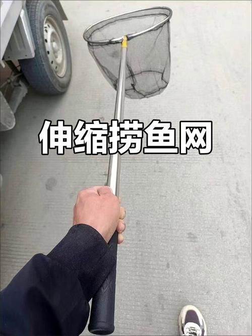 撈魚網圖片大全：京東漁網撈魚網品牌排行榜阿里巴巴1688漁具撈魚網品牌排行榜 撈魚網圖片大全：京東漁網撈魚網品牌排行榜阿里巴巴1688漁具撈魚網品牌排行榜 龍魚百科 第27張