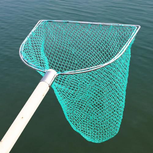 撈魚網圖片大全：京東漁網撈魚網品牌排行榜阿里巴巴1688漁具撈魚網品牌排行榜 撈魚網圖片大全：京東漁網撈魚網品牌排行榜阿里巴巴1688漁具撈魚網品牌排行榜 龍魚百科 第11張