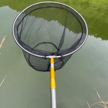 撈魚網圖片大全：京東漁網撈魚網品牌排行榜阿里巴巴1688漁具撈魚網品牌排行榜 撈魚網圖片大全：京東漁網撈魚網品牌排行榜阿里巴巴1688漁具撈魚網品牌排行榜 龍魚百科 第12張