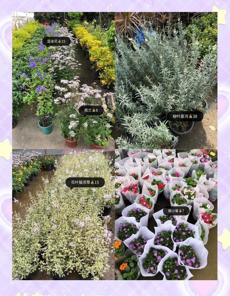 廣州花卉博覽園：華南地區規模最大、功能最全的花卉產業綜合園區