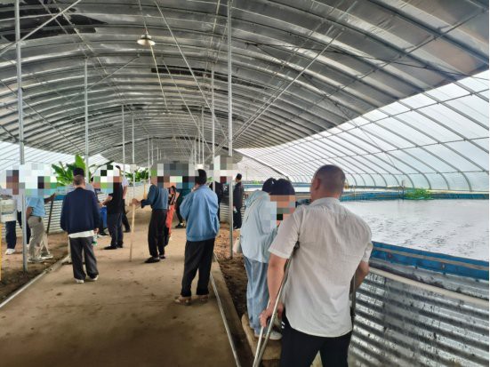 南陵龍魚店：南陵本地龍魚店有哪些品種給我推薦一些南陵的龍魚店
