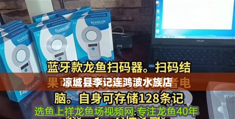 涼城龍魚店：涼城縣李記連鴻波水族店