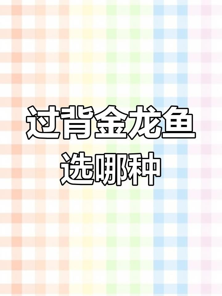 十大過背金龍魚品種：過背金龍魚作為觀賞魚中的頂級(jí)品種