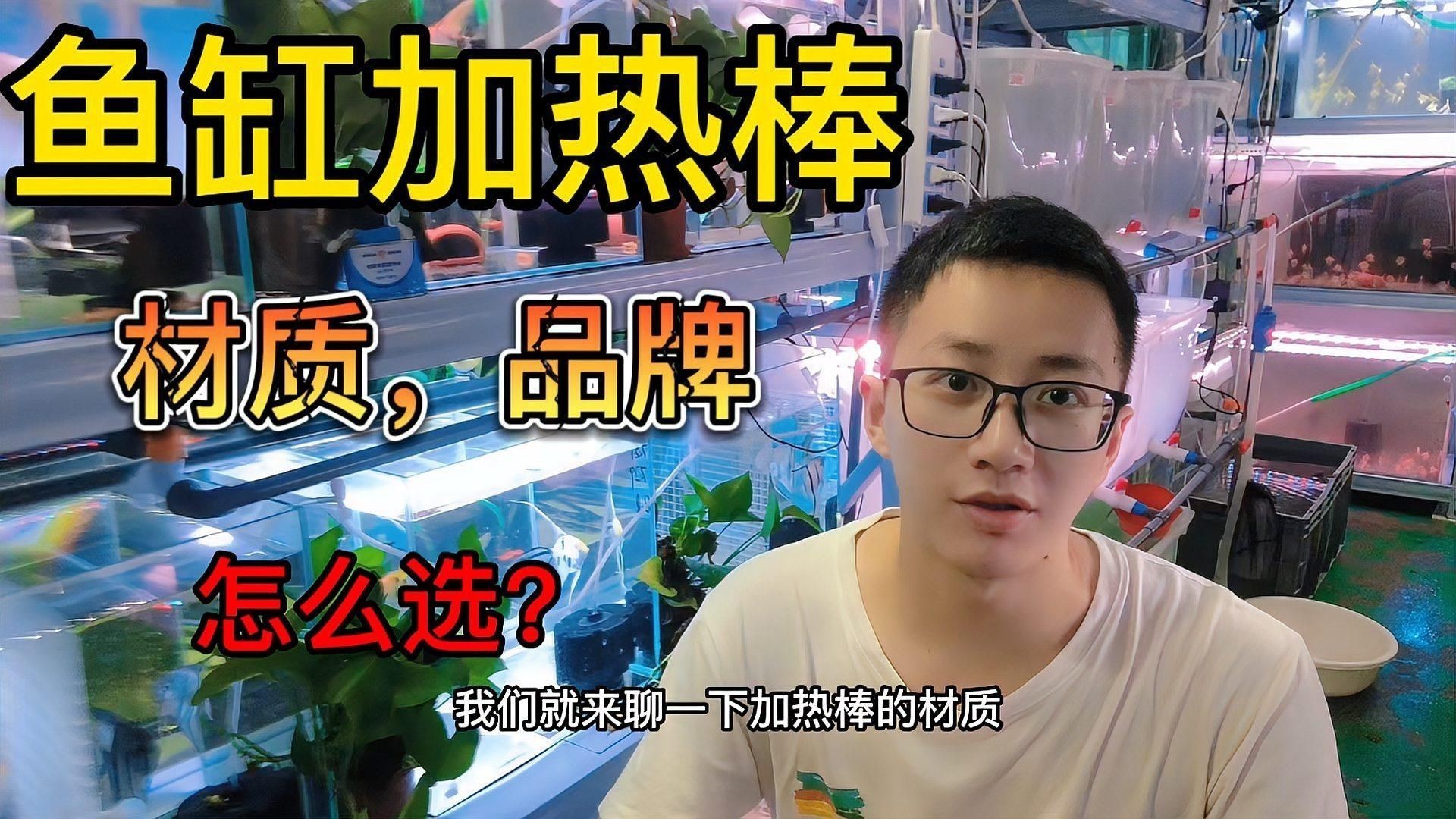 加熱棒選石英還是PTC：ptc和石英加熱棒哪個(gè)好 加熱棒選石英還是PTC：ptc和石英加熱棒哪個(gè)好 全國(guó)水族館企業(yè)名錄 第15張