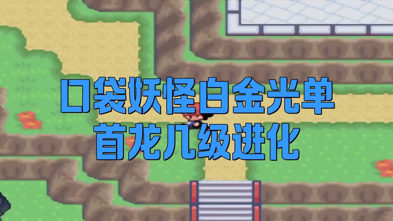 口袋妖怪白金光單首龍幾級進化：《口袋妖怪白金光》單首龍幾級進化 口袋妖怪白金光單首龍幾級進化：《口袋妖怪白金光》單首龍幾級進化 龍魚百科 第2張