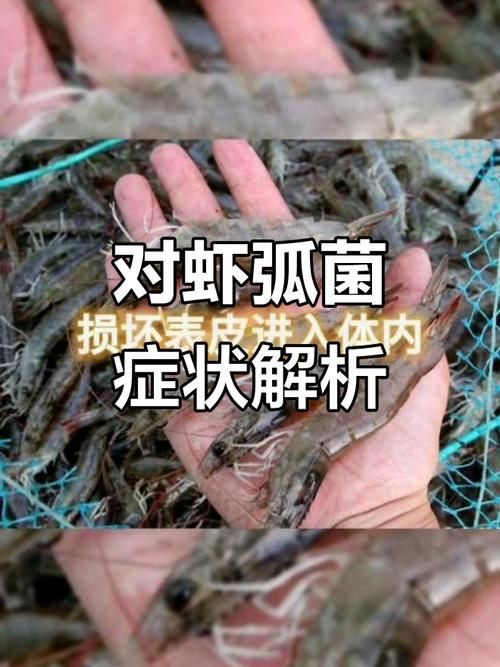 有沒有海洋弧菌感染的早期圖片？：創傷弧菌感染早期皮膚表現可通過以下圖片集直觀展示