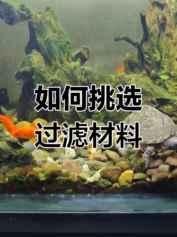 濾材的五大分類：嗶哩嗶哩濾材選擇全攻略新手必看