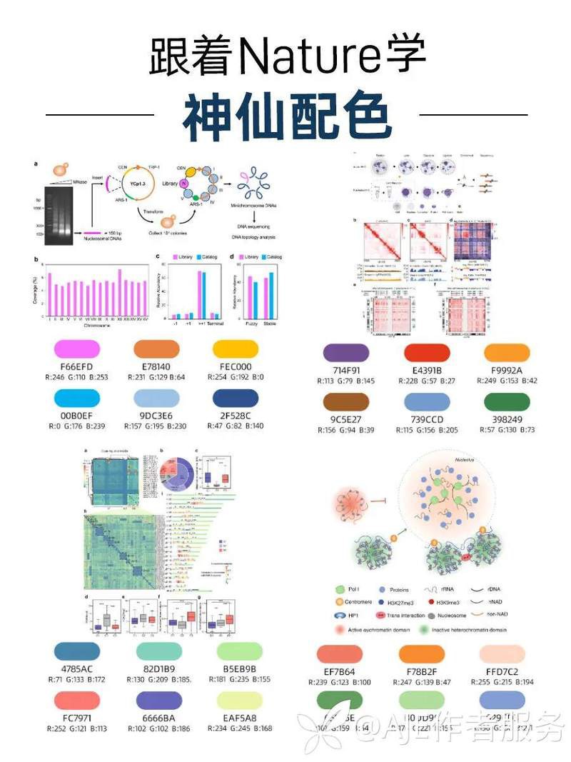 35公分紅龍最佳配色表：35公分紅龍魚飼養環境及觀賞需求專業配色方案 35公分紅龍最佳配色表：35公分紅龍魚飼養環境及觀賞需求專業配色方案 龍魚論壇 第4張