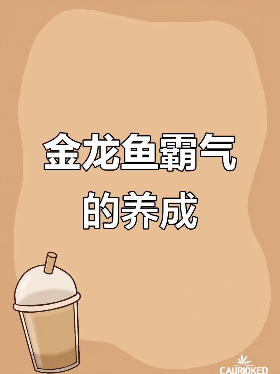 如何飼養一條霸氣的龍魚？：要飼養一條具有王者風范的龍魚 如何飼養一條霸氣的龍魚？：要飼養一條具有王者風范的龍魚 龍魚百科 第3張