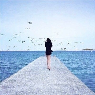 西安港務區魚缸批發市場：關于西安國際港務區及周邊魚缸批發市場的綜合信息分析