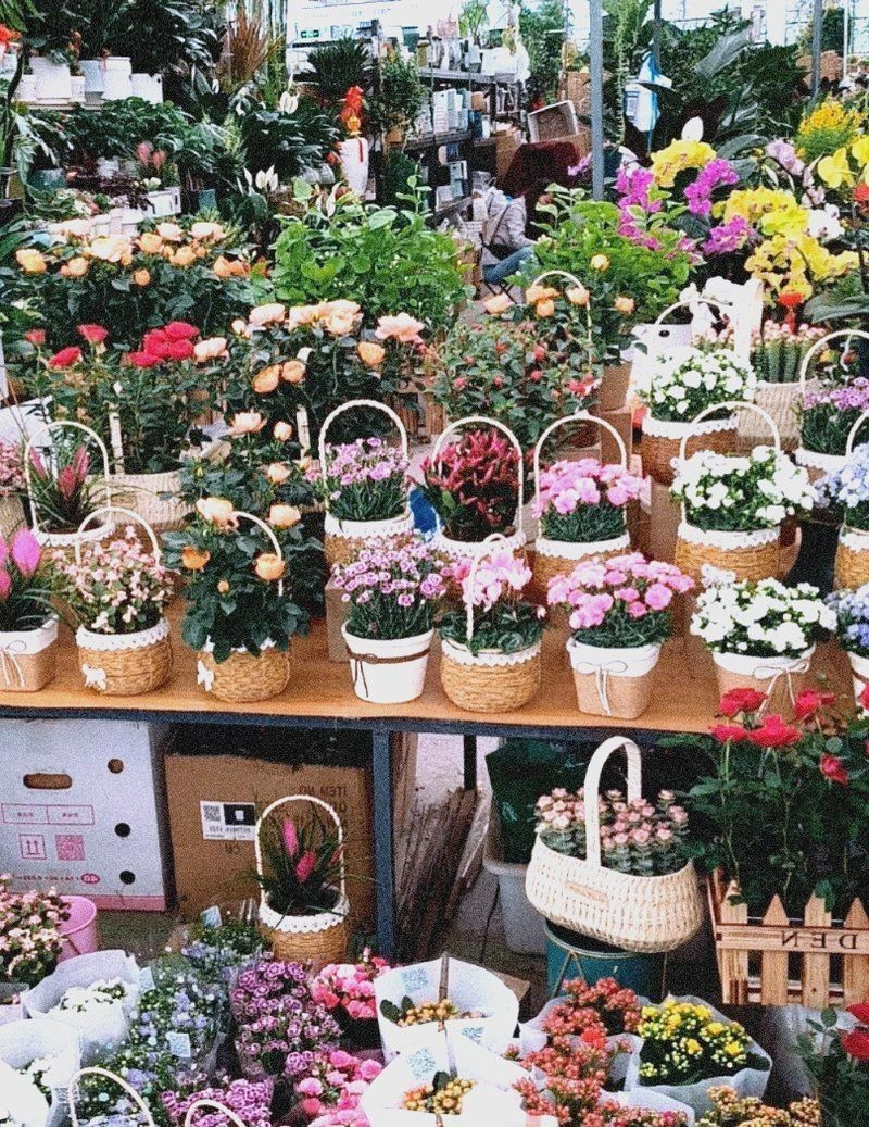 西安港務區魚缸批發市場：關于西安國際港務區及周邊魚缸批發市場的綜合信息分析