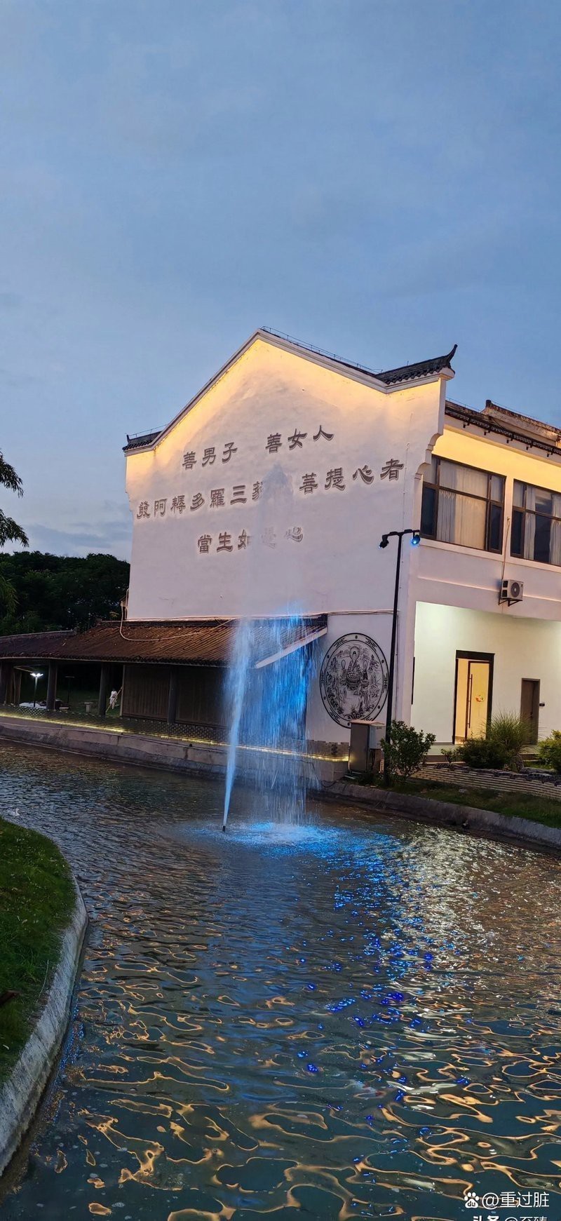 九華山水族店：九華山康養游火爆西安市場 九華山水族店：九華山康養游火爆西安市場 全國水族館企業名錄 第3張