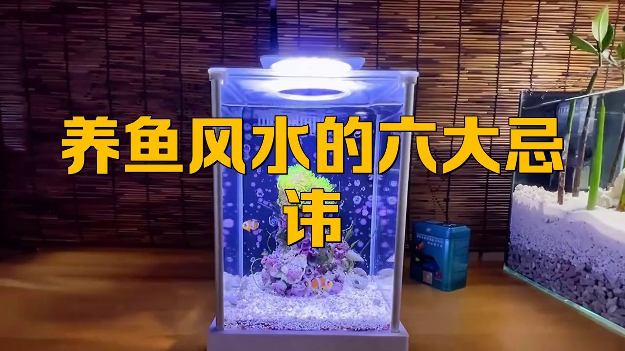 家中養魚有哪些風水禁忌？：客廳養魚擺放魚缸10大忌易學者楊道明客廳擺放魚缸10大忌