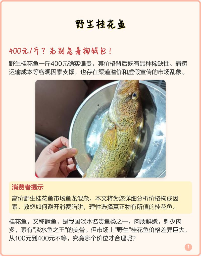 丁桂魚一斤價格表：2025年8月農產品市場丁桂魚價格行情分析