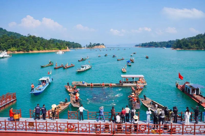 河源魚缸店：關于河源市魚缸店的綜合信息