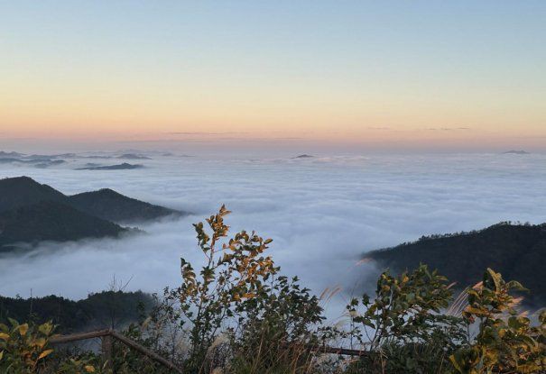 文山壯族苗族自治州魚缸定做：上門定做魚缸避坑指南 文山壯族苗族自治州魚缸定做：上門定做魚缸避坑指南 全國(guó)水族館企業(yè)名錄 第3張