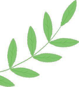 <strong><mark>白山</mark></strong>龍魚店：<strong><mark>白山</mark></strong>地區與“龍魚”相關的店鋪主要有兩類信息可供參考